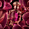 Lattafa - Habik for Women Eau de Parfum (100 ML)