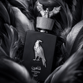 Lattafa - Shaheen Silver (100 ML)